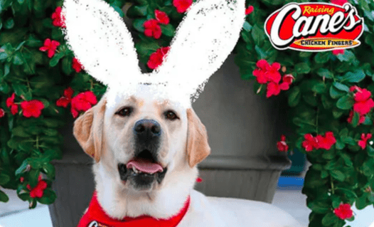 What is a Raising Cane’s Gift Card? 3 The Basket Stuffer Gift Card